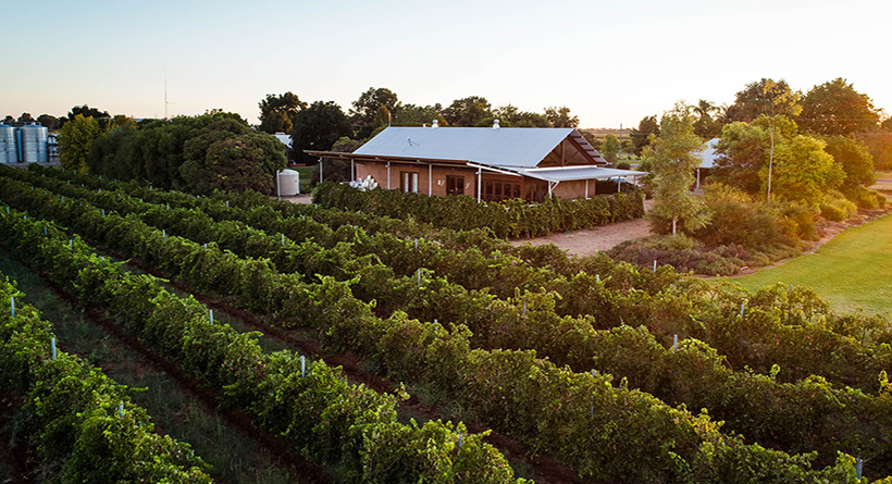 Yarran Wines Vineyard